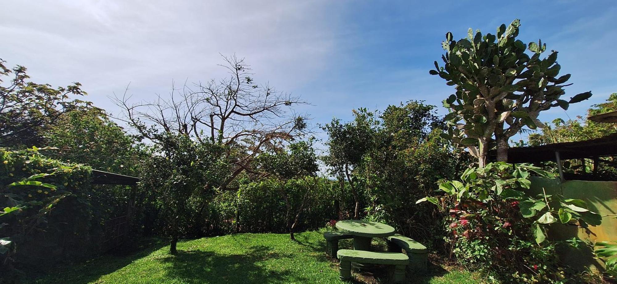 Monteverde Cecropia Paradise Номер фото